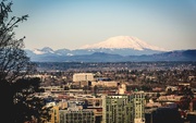 20th Jan 2016 - Mt St Helens Looming Over the City
