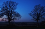 20th Jan 2016 - In the blue of the night