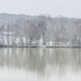 Local Carp Lake In Winter by tonygig