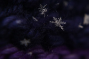 20th Jan 2016 - Snowflakes, a Second Attempt