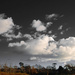 Surreal Cloudscape by davidrobinson