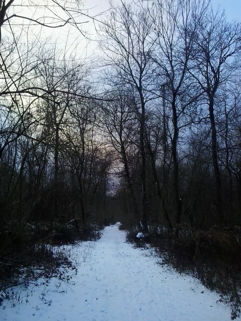Winter walk. by ivm