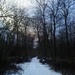 Winter walk. by ivm