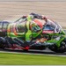 Tom Sykes by pcoulson