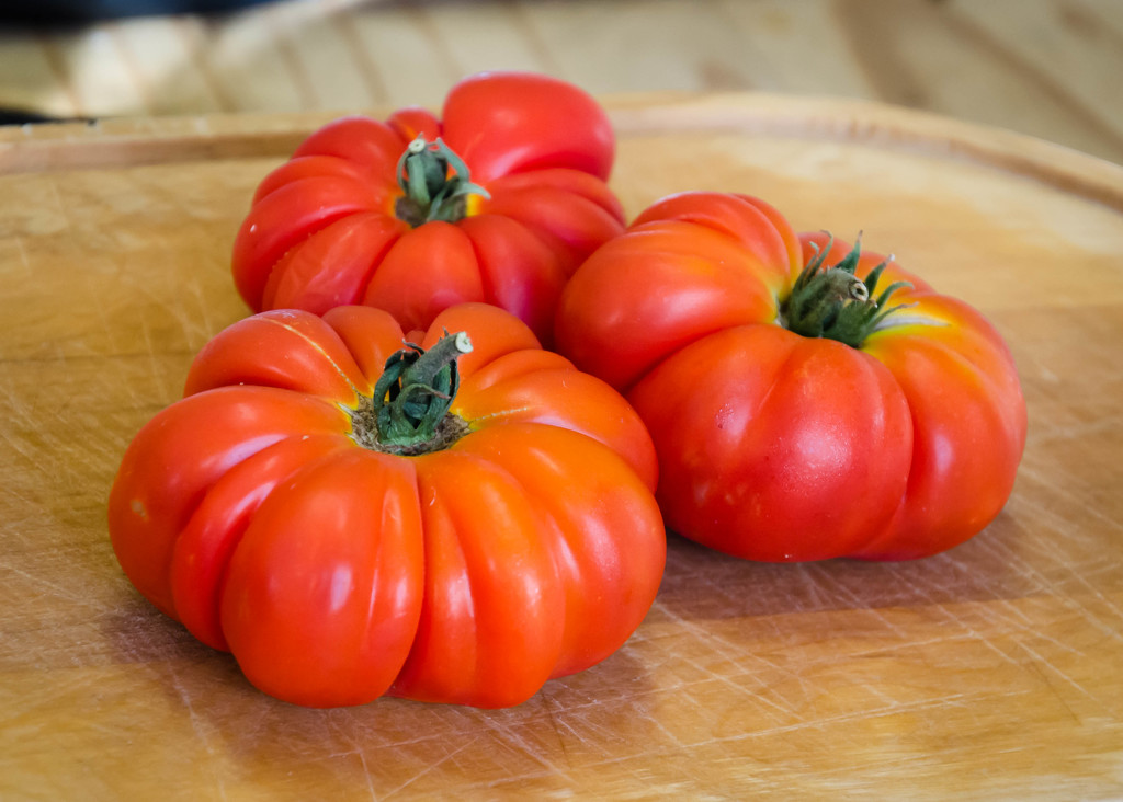 Red Tomatoes by salza