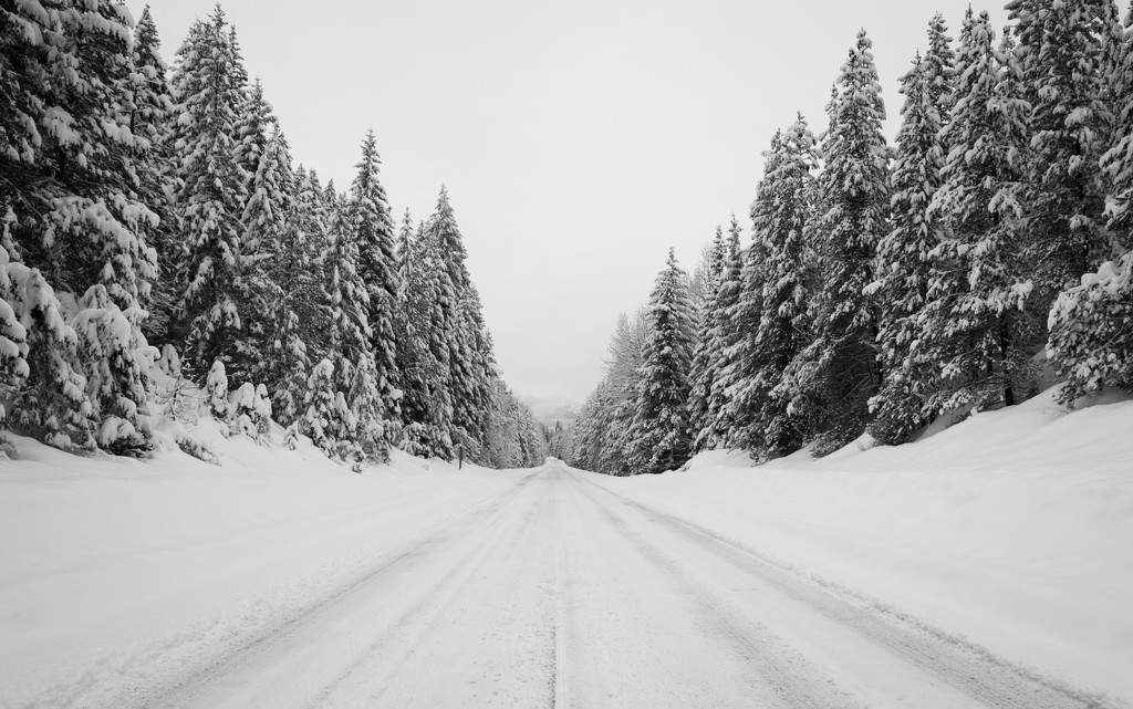 Snowy Drive by epcello