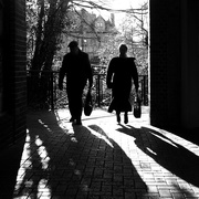 21st Jan 2016 - Silhouettes in the shade 