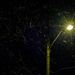 street light and snowfall by jackies365