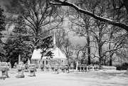 21st Jan 2016 - Snowy Cemetery