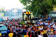 22nd Jan 2016 - Solemn Foot Procession