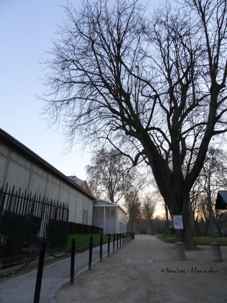 Luxembourg garden already closed by parisouailleurs