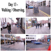 14th Jan 2016 - Day 13 - Walking & Observing