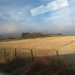 From the train  by sarah19