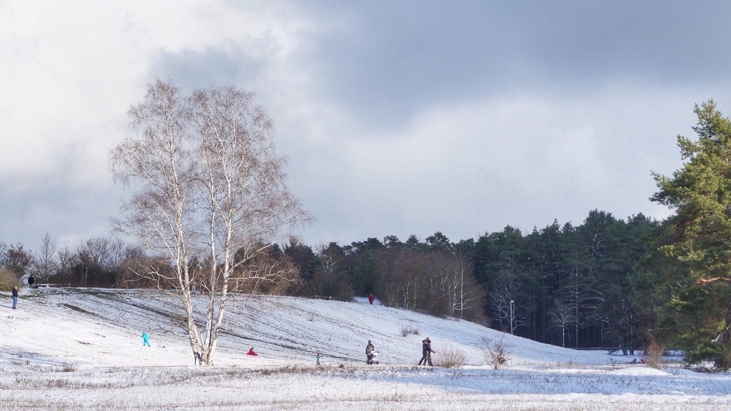 Winterfreuden by bmnorthernlight