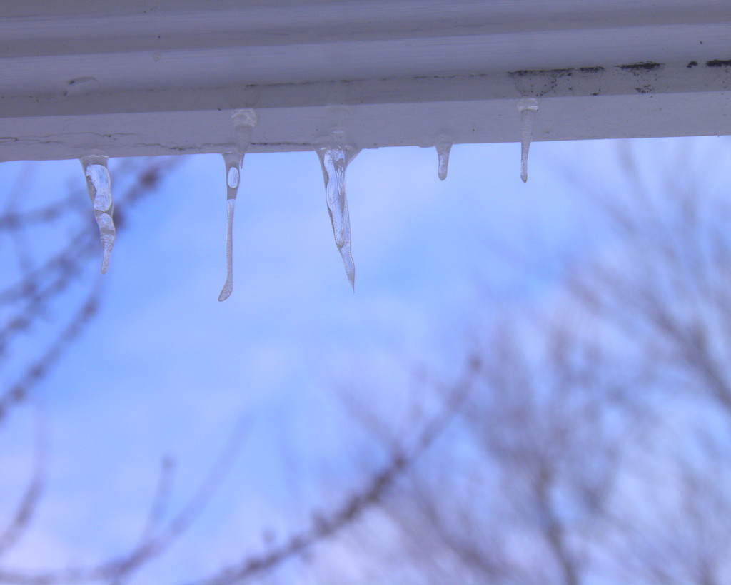 Tiny Icicles by daisymiller