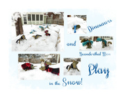 23rd Jan 2016 - Dinos play in the snow