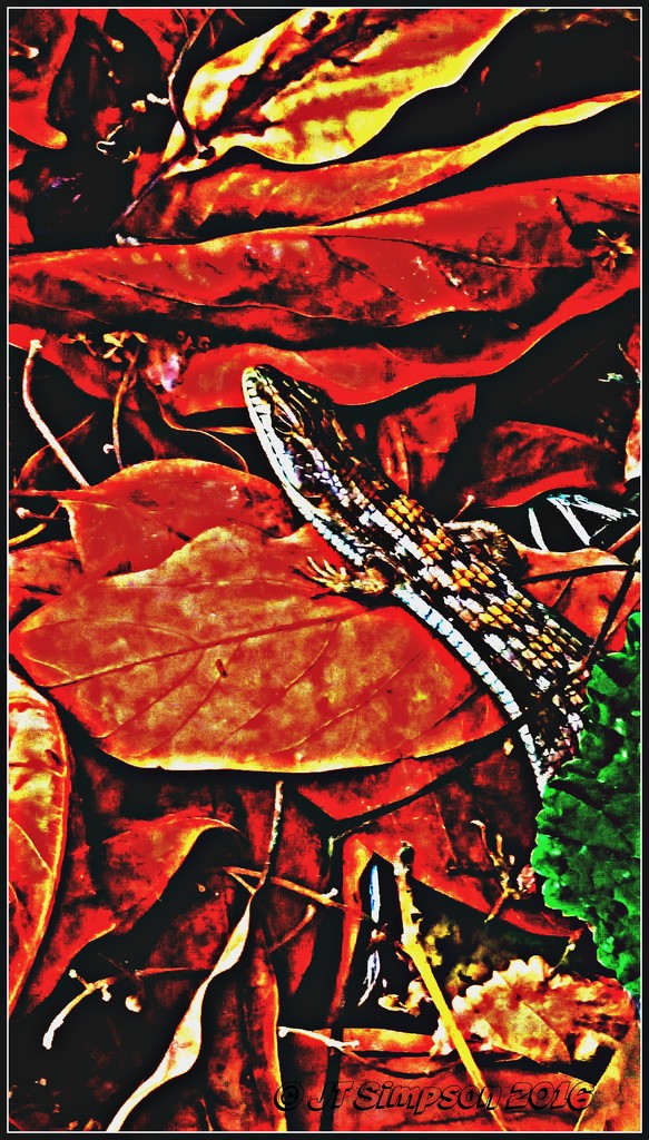 Leafin' Lizard! by soylentgreenpics