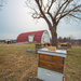 Beehives on the farm by ggshearron