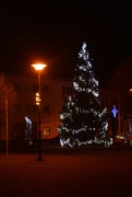 31st Dec 2015 - Christmas tree