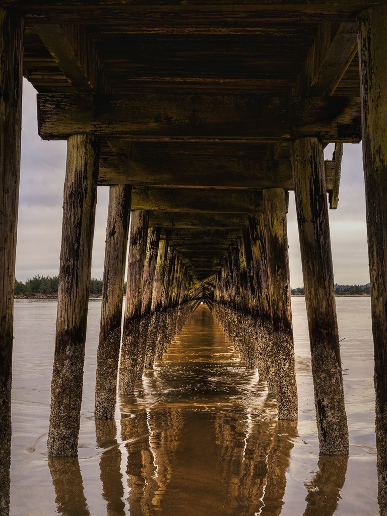 Under the Winchester Bay Pier  by jgpittenger