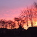 Another beautifully coloured morning sky by plainjaneandnononsense