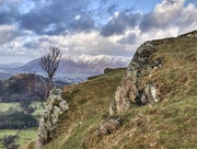 22nd Jan 2016 - Snow capped Skiddaw from Catbells, Cumbria
