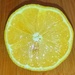 Lemon by scottmurr