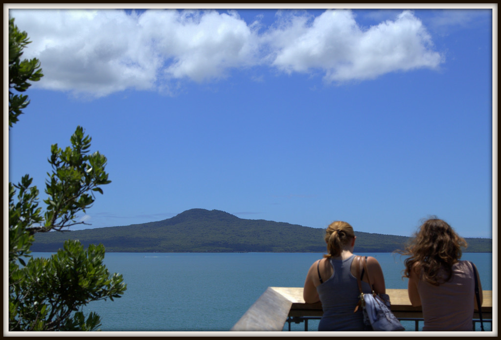 Rangitoto Island by dide