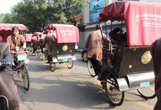 20th Dec 2015 - Rickshaw Racetrack