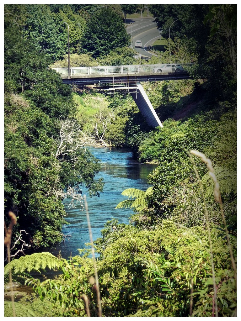 Waikato River  by yorkshirekiwi