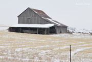 23rd Jan 2016 - Kansas Barn Snow Scene