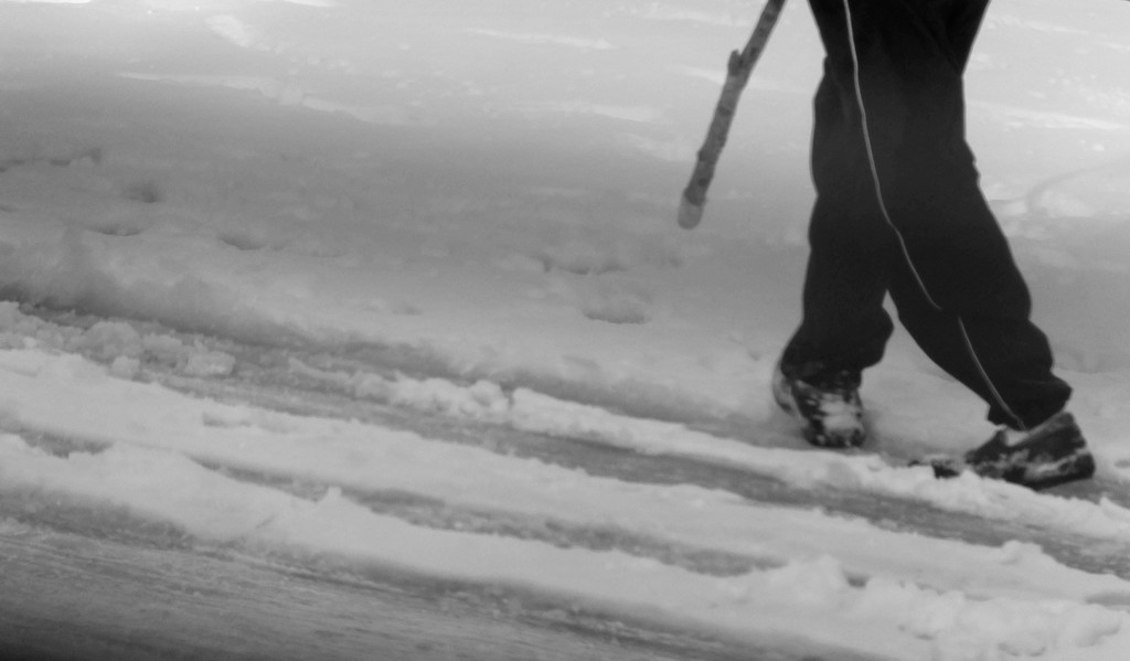 Snow Trek by linnypinny