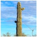 Mr Cactus Head by wilkinscd
