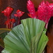 Red Ginger Bouquets in the Lobby by markandlinda