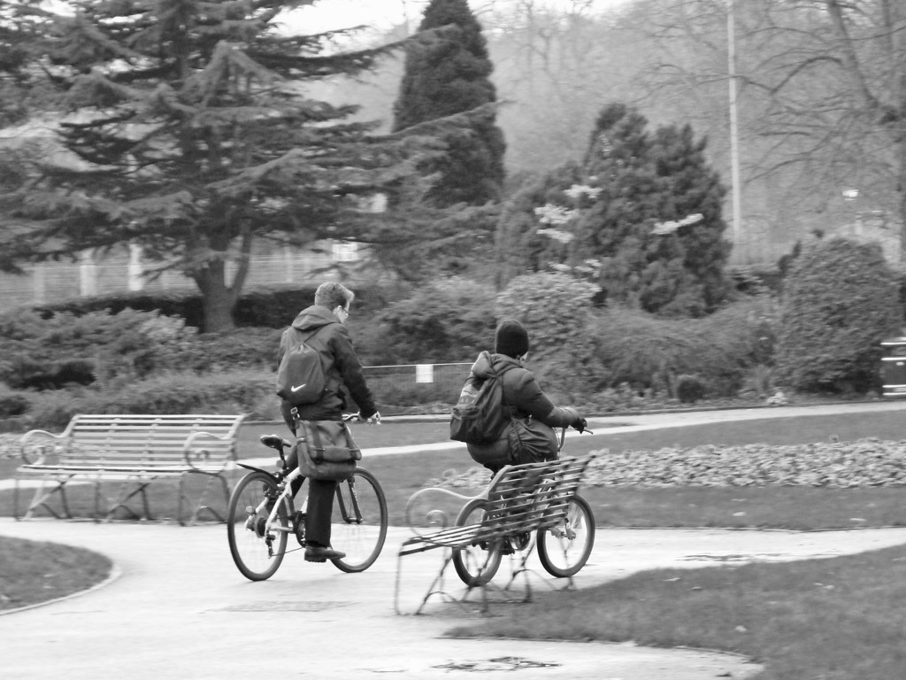 Bikes in Beacon park by sabresun