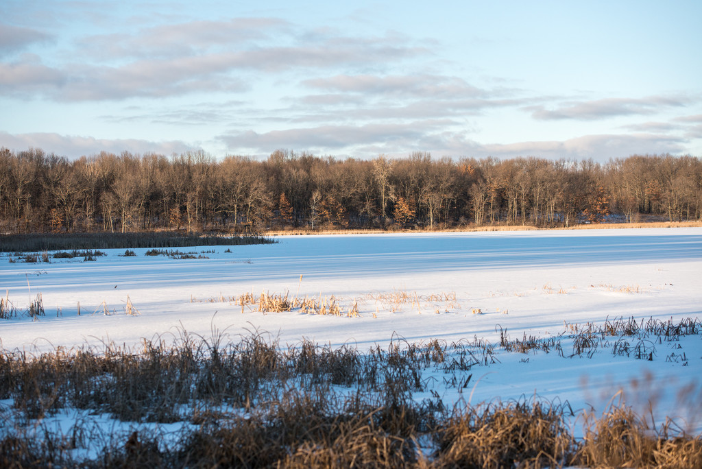 Michigan winter by dridsdale
