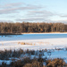 Michigan winter by dridsdale