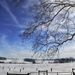Snowy Pastures by digitalrn