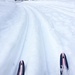 Cross-Country Skiing by dridsdale