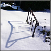 27th Jan 2016 - Shadow on the Snow