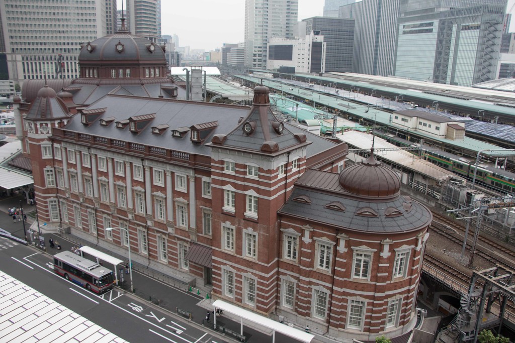 Tokyo Station, Looking Down by darylo