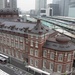 Tokyo Station, Looking Down by darylo