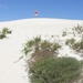 Sand dunes by sugarmuser