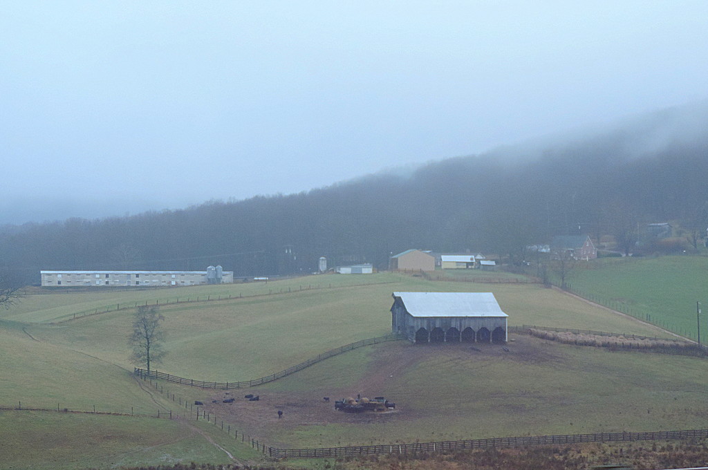 Farm in the Fog by homeschoolmom