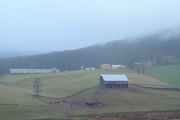 28th Dec 2015 - Farm in the Fog