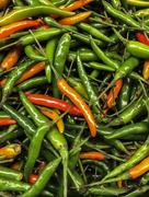 26th Jan 2016 - Peppers