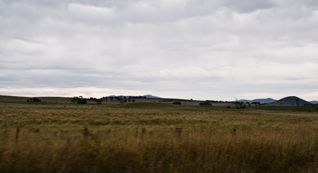 Travelling on the Kings Highway to Braidwood  by annied