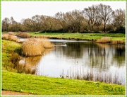 27th Jan 2016 - The Lake In Winter