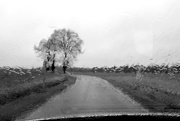 27th Jan 2016 - OCOLOY Day 27: Driving home from the Supermarket