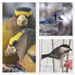 Bird Collage by radiogirl